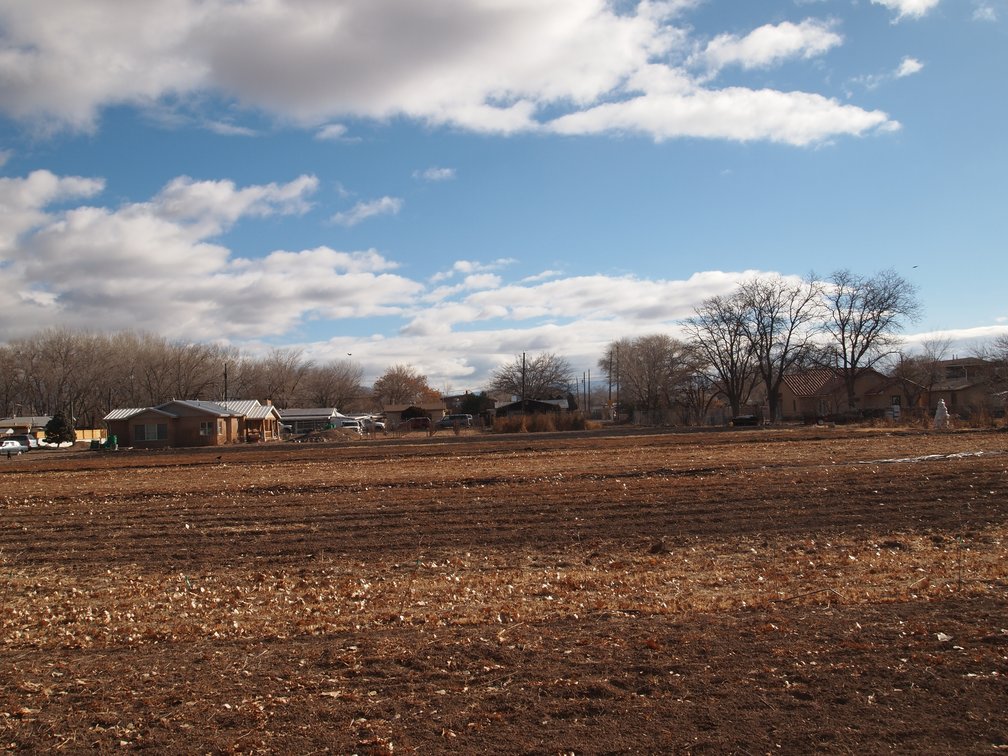 farm